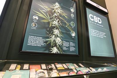 ��ɫtv cannabis organization suspends operations, citing active illegal market
