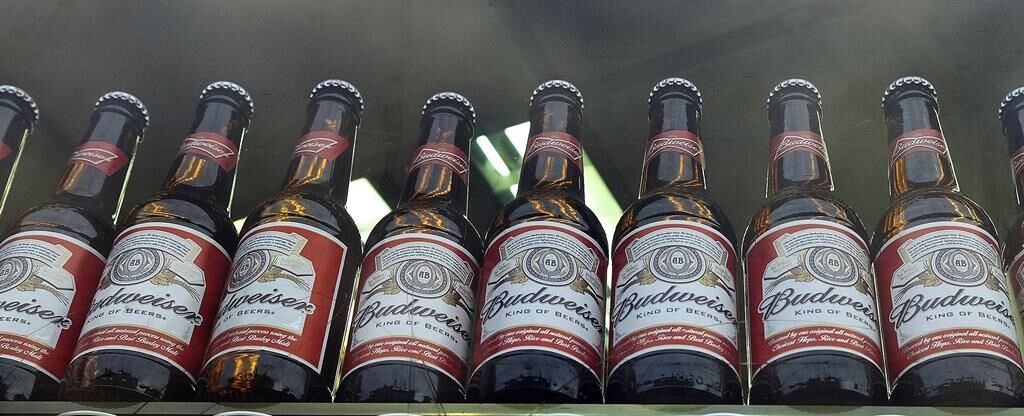 Sale of beer with alcohol banned at World Cup stadiums