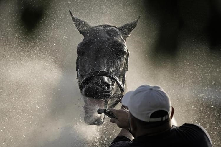 The Kentucky Derby could be a wet one. Early favorites Fierceness, Sierra Leone have won in the slop