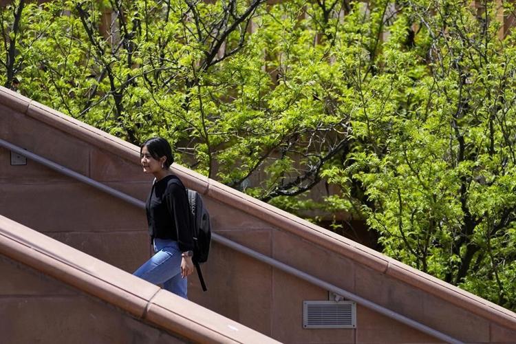 Scholarships have helped displaced Afghan students find homes on university campuses across the US