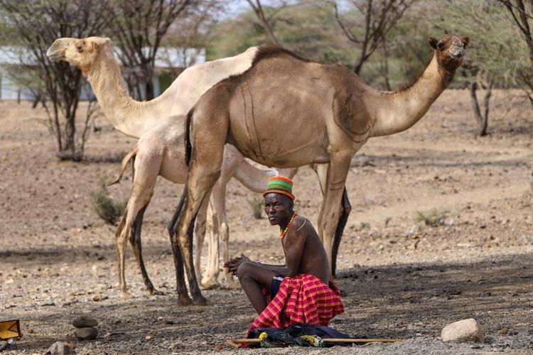 Animals dying in Kenya as drought conditions leave many hungry