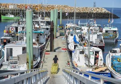 Les pêcheurs de homards de la Nouvelle-Écosse poursuivent les acheteurs «illégaux»
