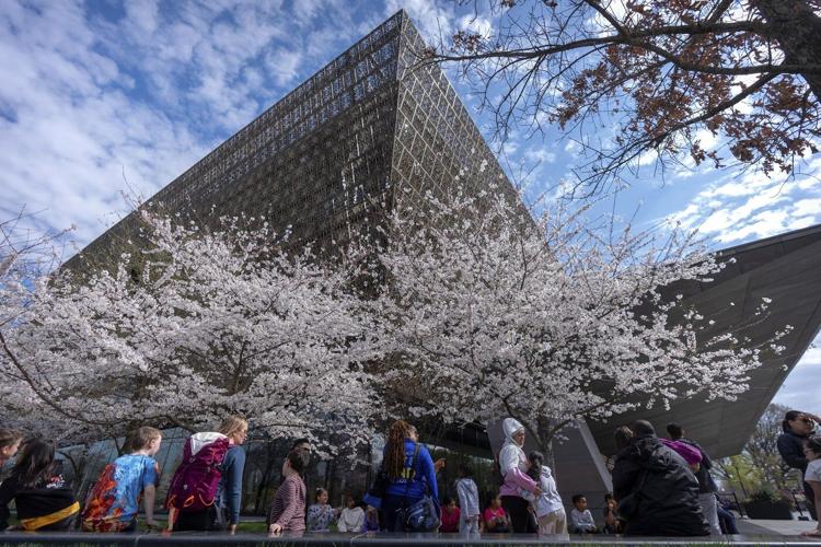 Prominent pastor notified books loaned to African American museum may be returned amid review