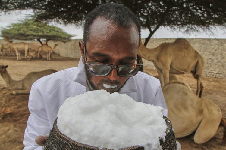 Somalia's camel milk revolution is improving nutrition and creating jobs