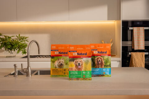 K9 Natural Brings Baked & Coated Dog Food to Canada