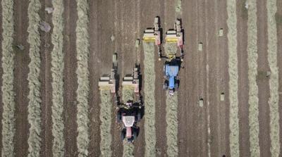 Manitoba producers to get further Crown land rent reduction, minister says