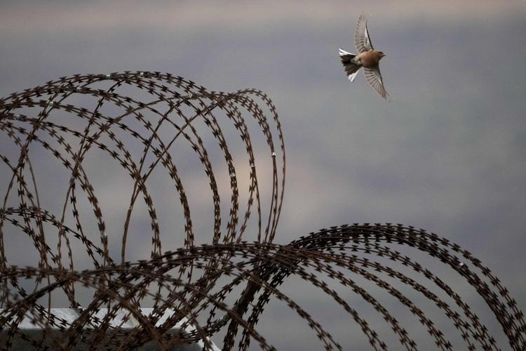 PHOTO COLLECTION: AP Top Photos of the Day, Sunday, December 22, 2024