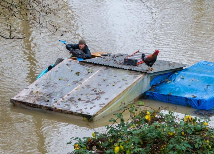 Historic rains and flooding trigger dramatic rescues in Washington state
