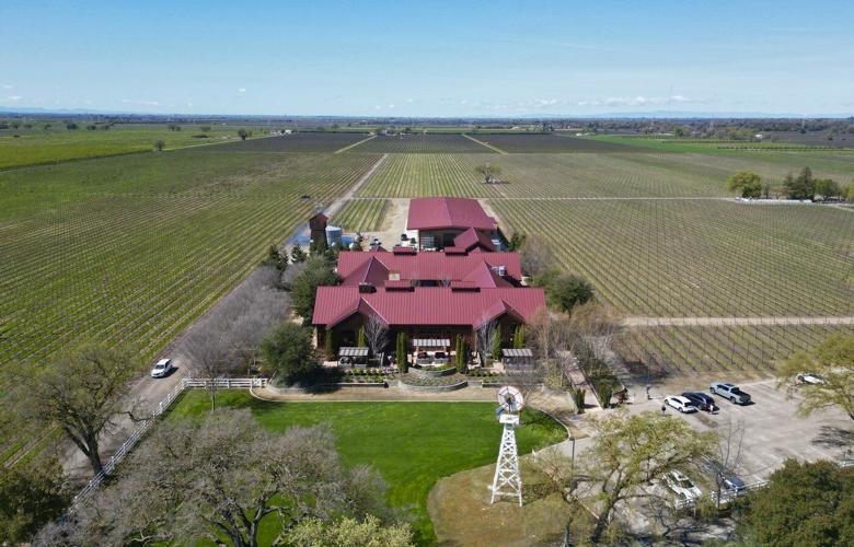 California's wine industry leery of tariffs, but some growers hope they help