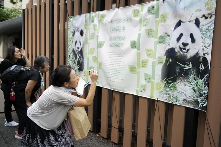 Japanese fans bid farewell to beloved panda pair before their return to China