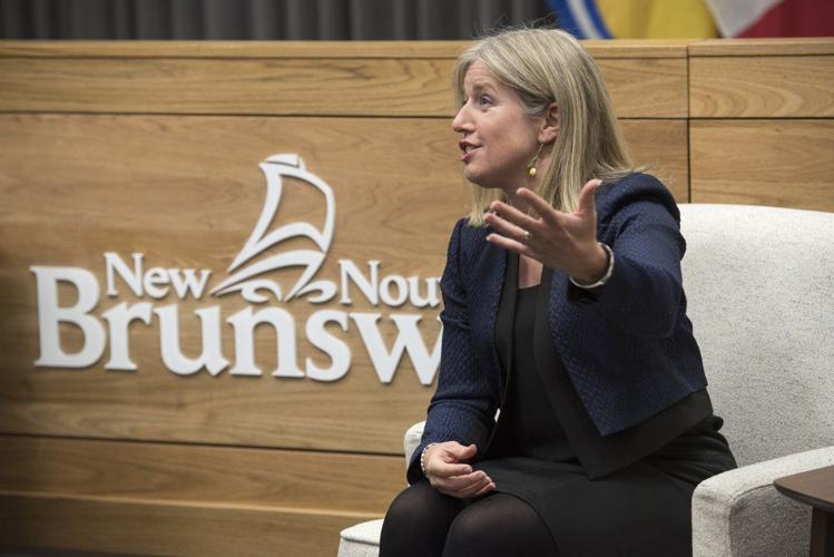 N.B. announces 3-member panel who will review future of debt-laden power utility