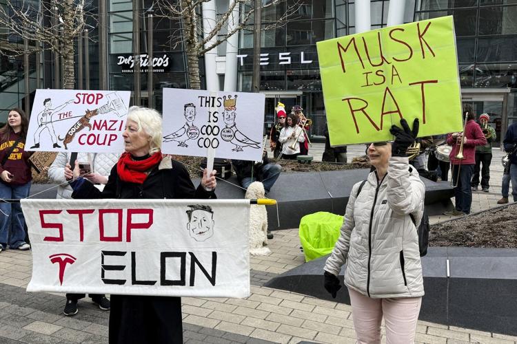 PHOTO COLLECTION: Elon Musk Protests