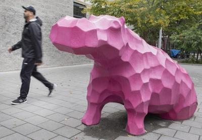 Roadwork unearths remnants of 1800s Montreal zoo run by the 'Canadian Barnum'
