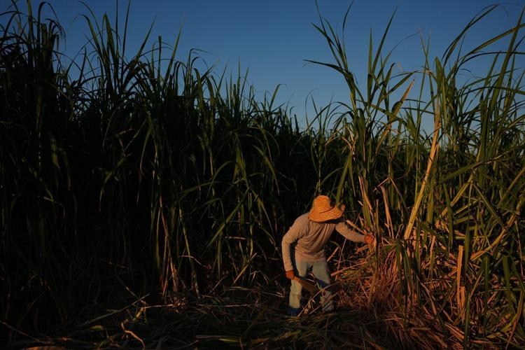In a California farming region, researchers are mapping rural heat to protect farmworkers