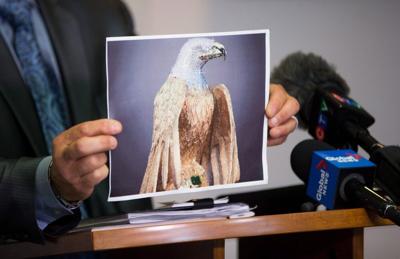 B.C. judge allows eagle sculpture insurance case despite 'inexcusable' delays