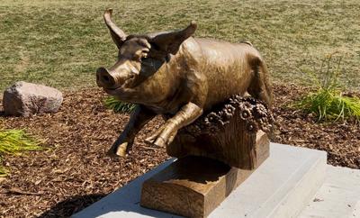 'Freedom-loving hog': City salutes swine that staved off slaughter with statue