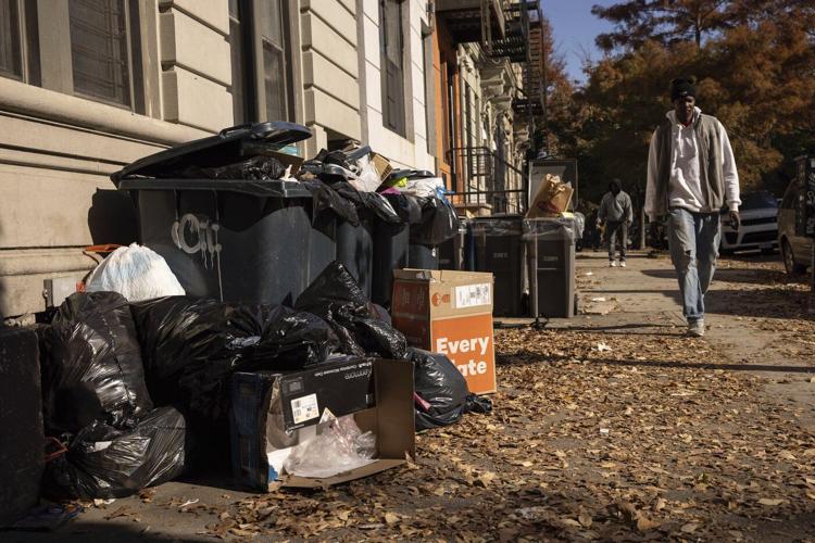 Rats feast on New York’s City's bagged garbage. Can putting it in bins end the smorgasbord?