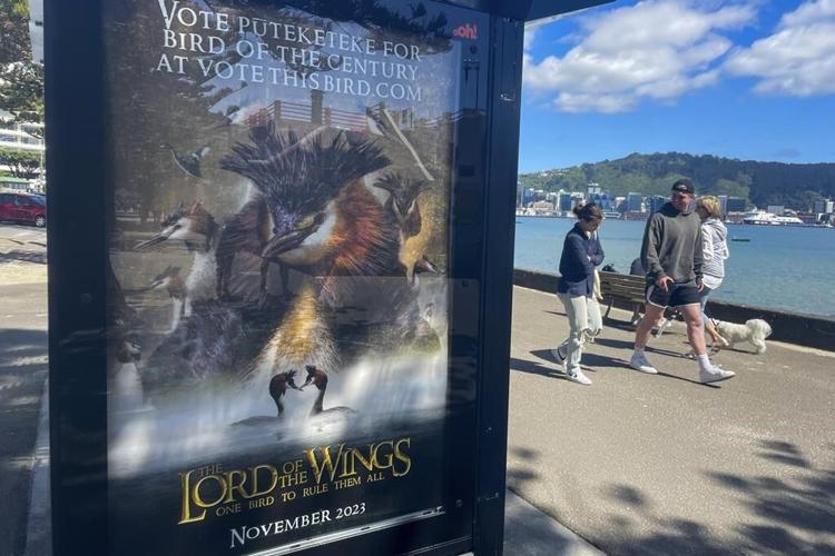 John Oliver's campaign for puking mullet bird delays New Zealand vote for favorite feathered friend