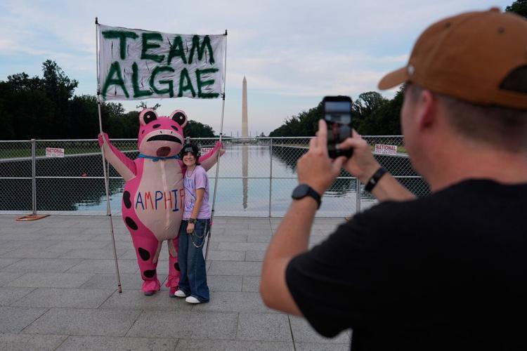 Reflecting Pool liner was cut with a sharp knife or razor, National Park Service says