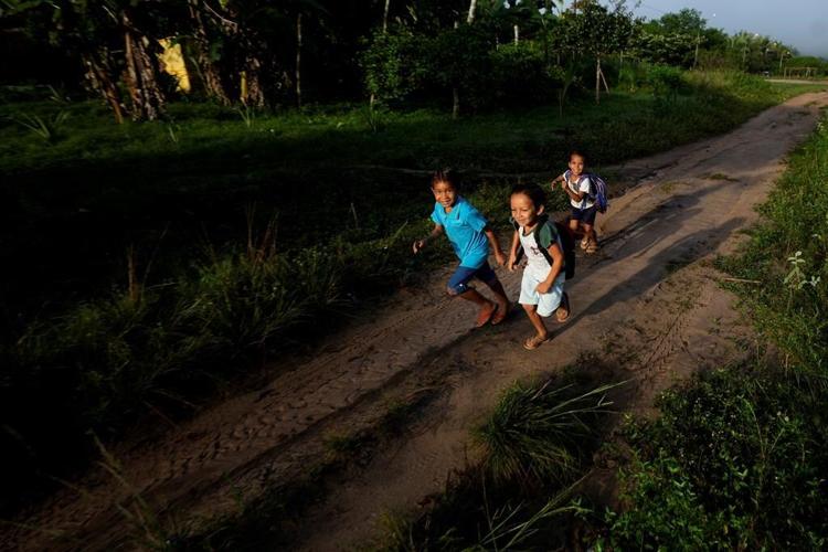 Poverty is killing the Amazon rainforest. Treating soil and farmers better can help save what's left