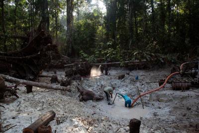 Interpol-led crackdown on environmental crime leads to 225 arrests in Latin America