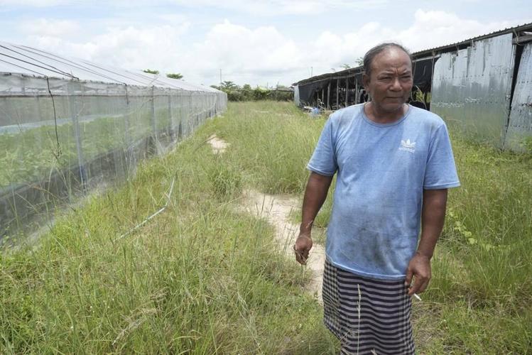 Cambodian fishermen turn to raising eels as Tonle Sap lake runs out of fish