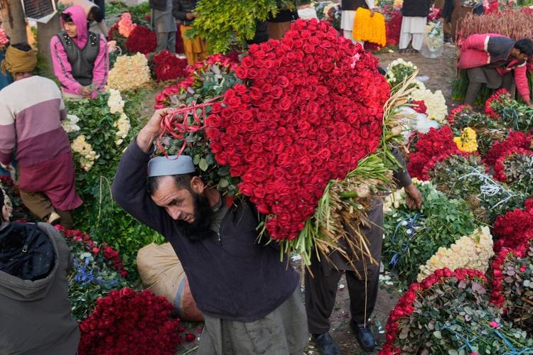 The top photos of the day by AP's photojournalists