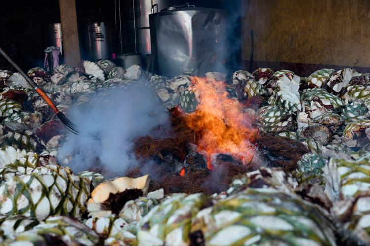 See how mezcal is made in Mexico