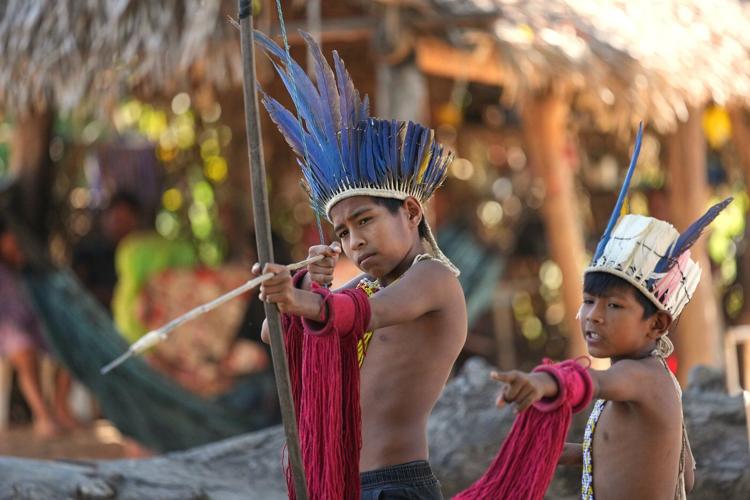 A conflict over cattle in Brazil's Amazon highlights tensions for Indigenous peoples