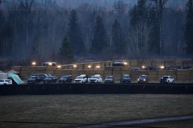 B.C. ostrich farm is 'ground-zero for change' as family reels from shooting cull