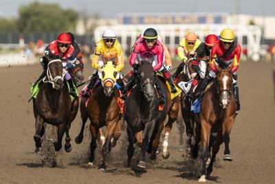 Alcohol and Gaming Commission of Ontario informs Fort Erie that race under review.