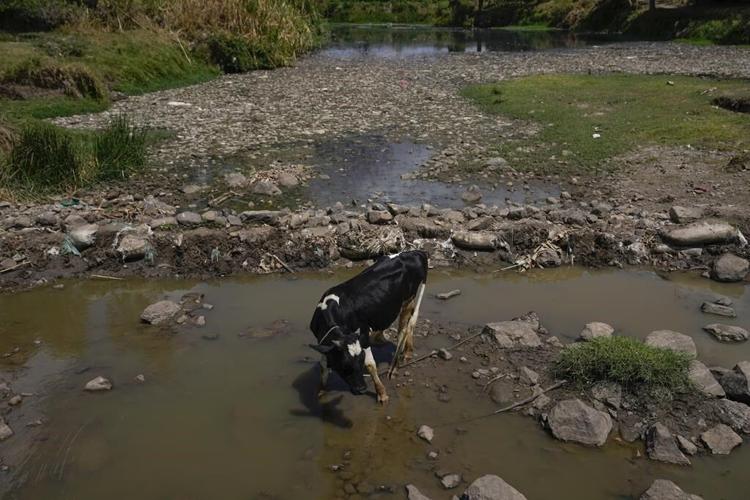 In some neighborhoods in drought-prone Kenya, clean water is scarce. Filters are one solution