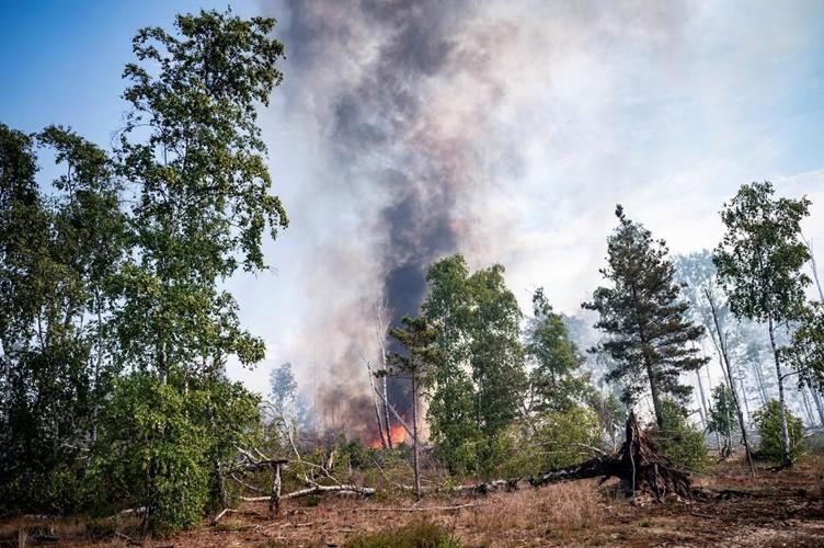 Wildfire on German military training site contaminated with ammunition