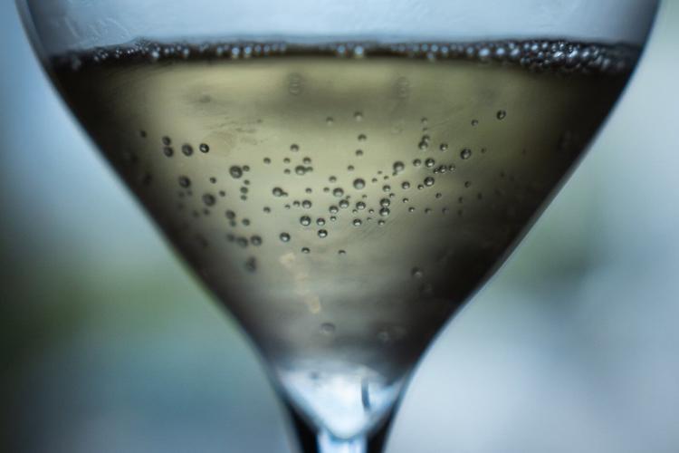 Champagne growers race to preserve quality in record-early harvest
