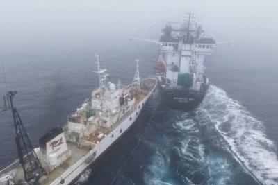 Activist vessel collides with krill trawler in Antarctic confrontation