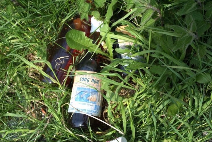 Rotting fish-sauce plant whose stench torments Newfoundland town will be cleaned up