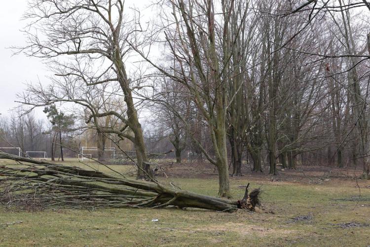 A look at Environment Canada's top 10 weather events for 2025