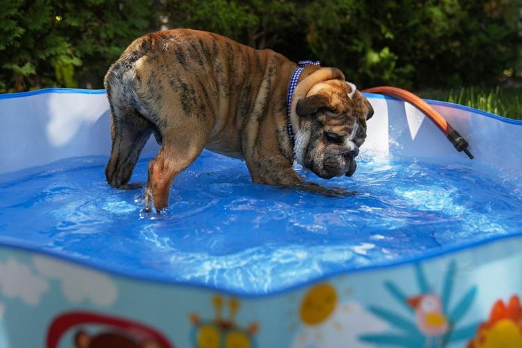 Eastern half of U.S. braces for more long days of dangerous heat