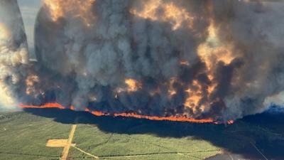Residents flee as 'incredibly intense' wildfire closes in on Tumbler Ridge, B.C.