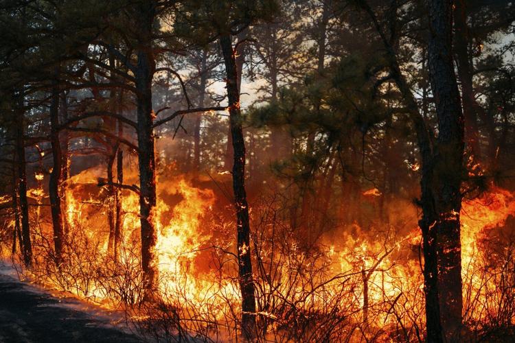 Firefighters in the Carolinas battle multiple wildfires as New Jersey crews contain a forest blaze