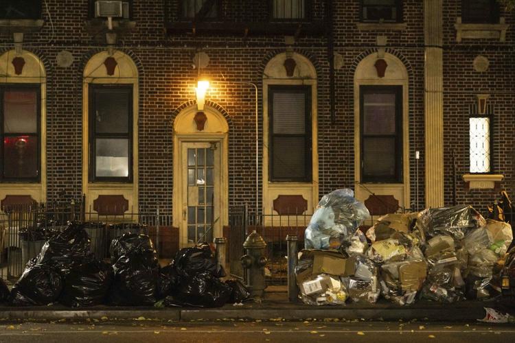 Rats feast on New York’s City's bagged garbage. Can putting it in bins end the smorgasbord?