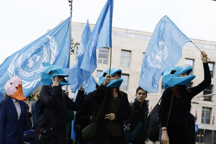 In Rome, talks to protect Earth's biodiversity resume with money topping the agenda