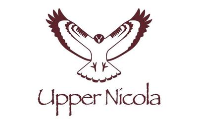 Upper Nicola Band building community centre finds human remains, halts construction