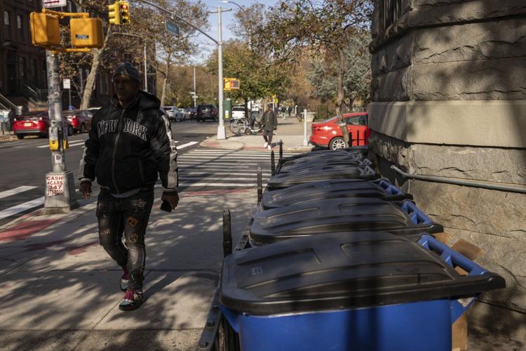 Rats feast on New York’s City's bagged garbage. Can putting it in bins end the smorgasbord?