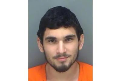 Florida man pleads guilty to supporting IS extremist group
