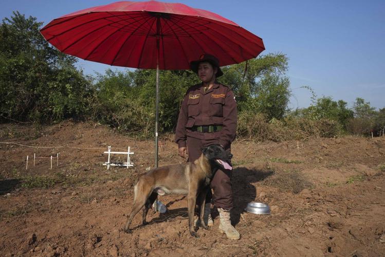 The UN chief and pope call for nations to end the use of antipersonnel land mines