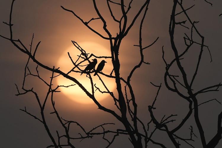 PHOTO COLLECTION: AP Top Photos of the Day, Wednesday, January 1, 2025
