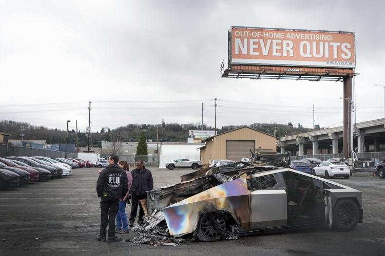PHOTO COLLECTION: Elon Musk Protests