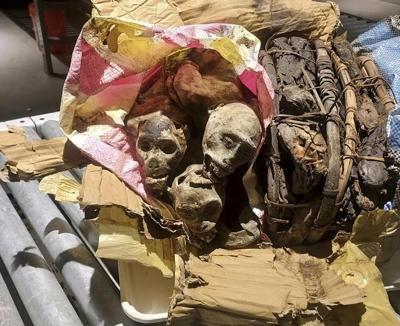 CBP dog sniffs out something unusual in passenger's luggage - mummified monkeys