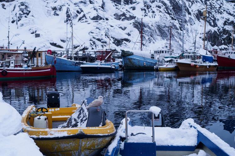 Vance to meet Danish and Greenlandic officials in Washington as locals say Greenland is not for sale